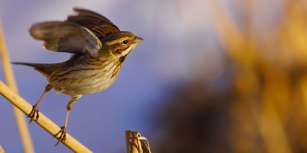 Lessons from entrepreneurial interviews